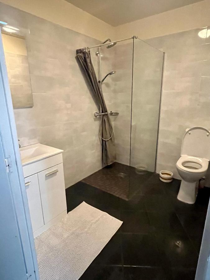 Appartement Gare Rer D Maisons Alfort Alfortville Bagian luar foto